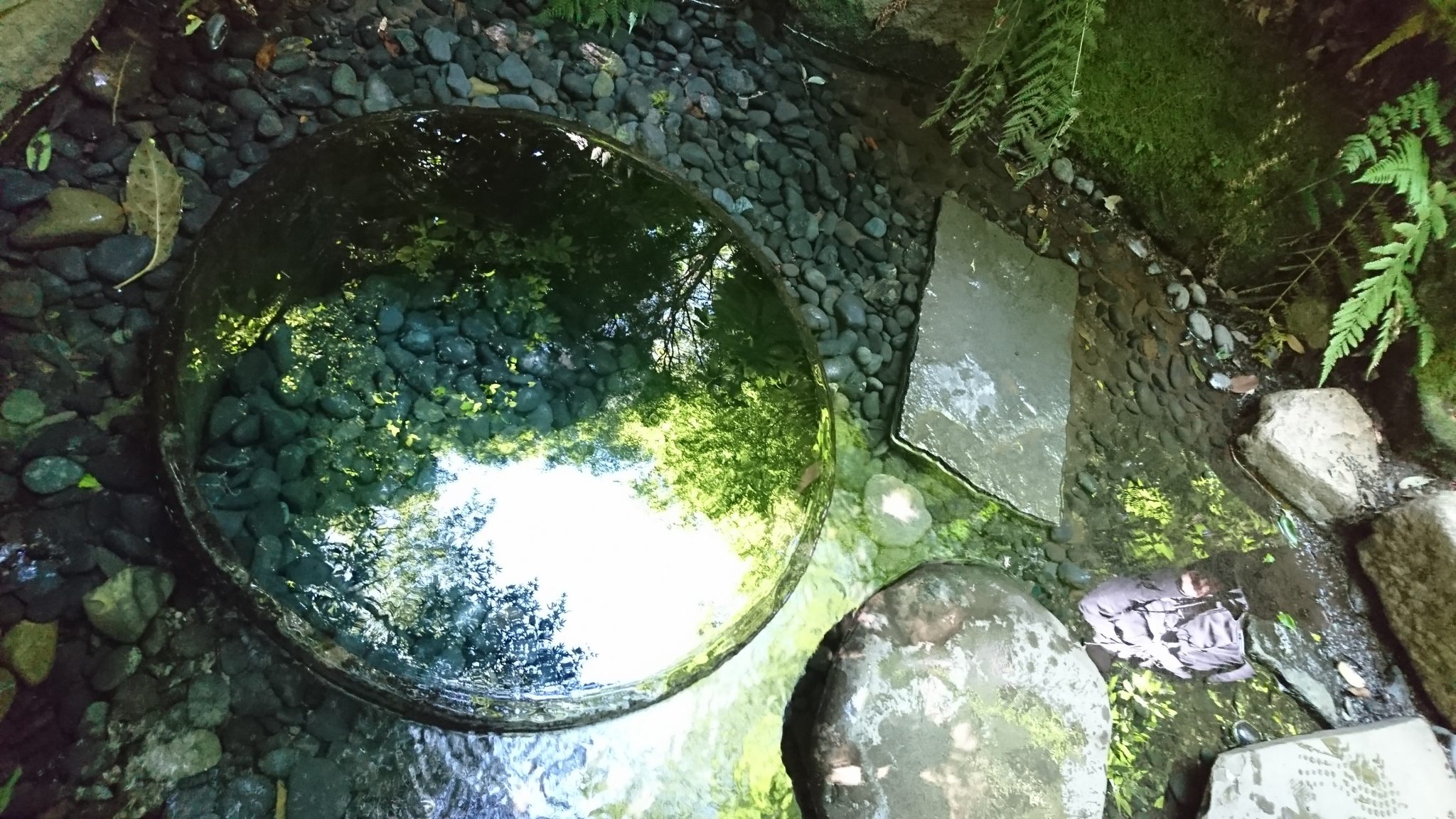 競泳が教えてくれたこと